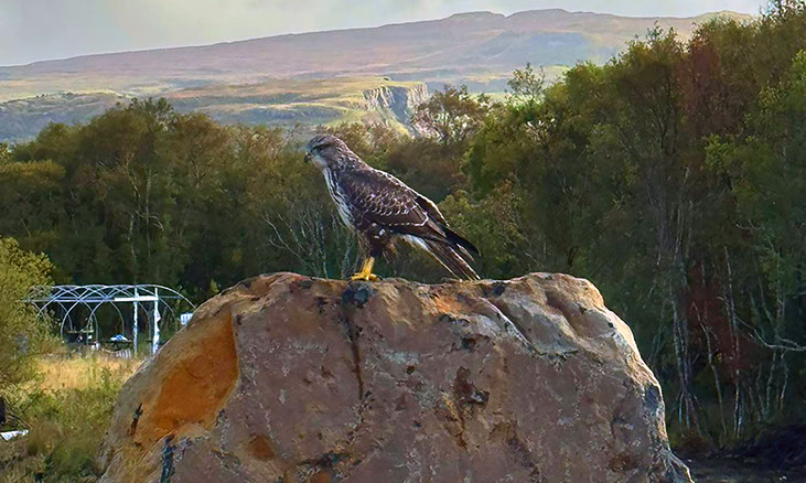 Scorr House self catering accommodation with sea views on the Isle of Skye