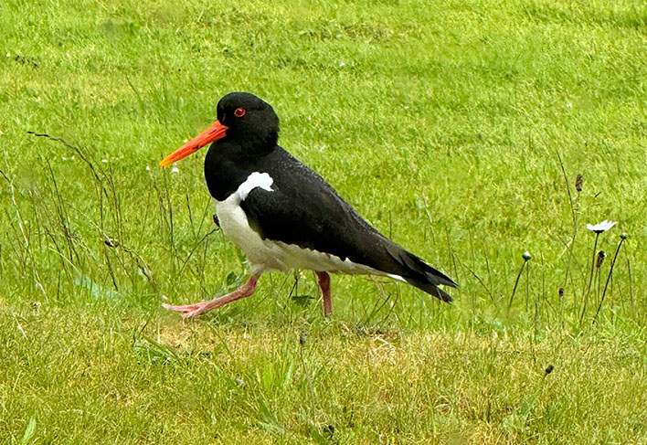 Scorr House self catering accommodation with sea views on the Isle of Skye